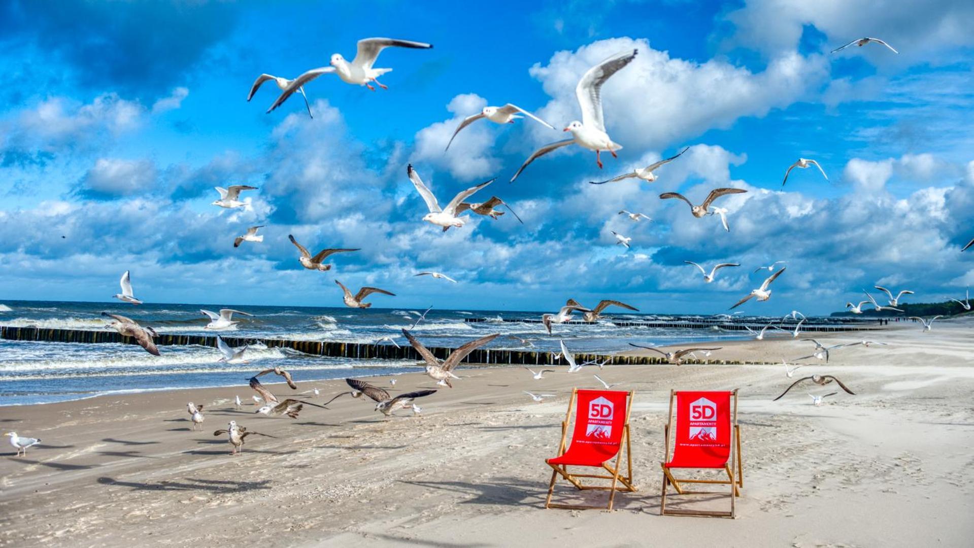 Apartment 125 Z Ogrodkiem I Przy Plazy - 5d *